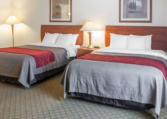 Comfort Inn & Suites