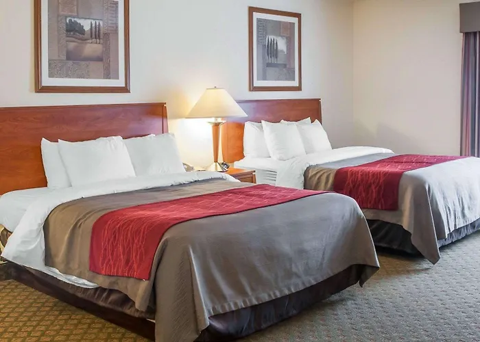 Comfort Inn & Suites