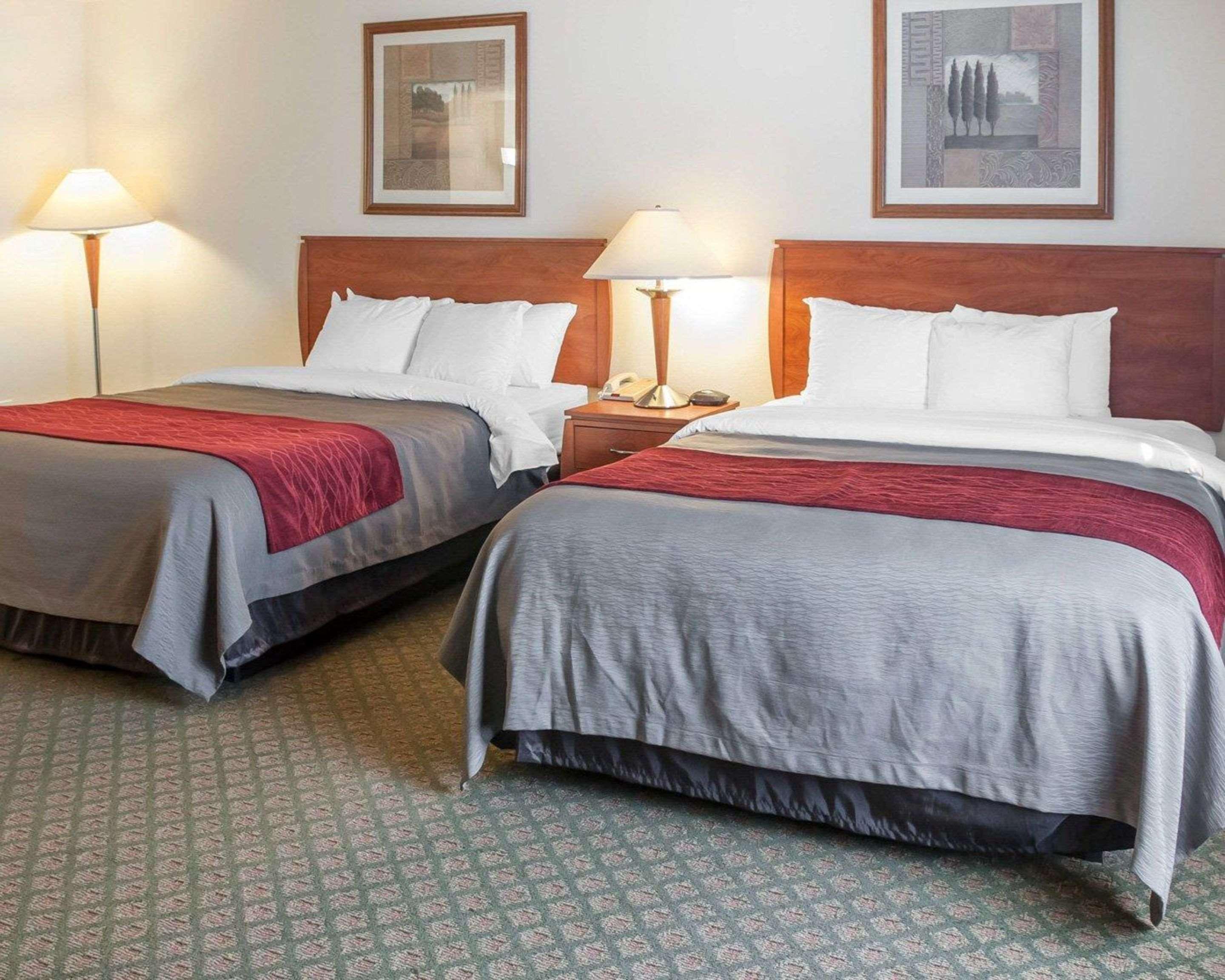 Comfort & Hotel