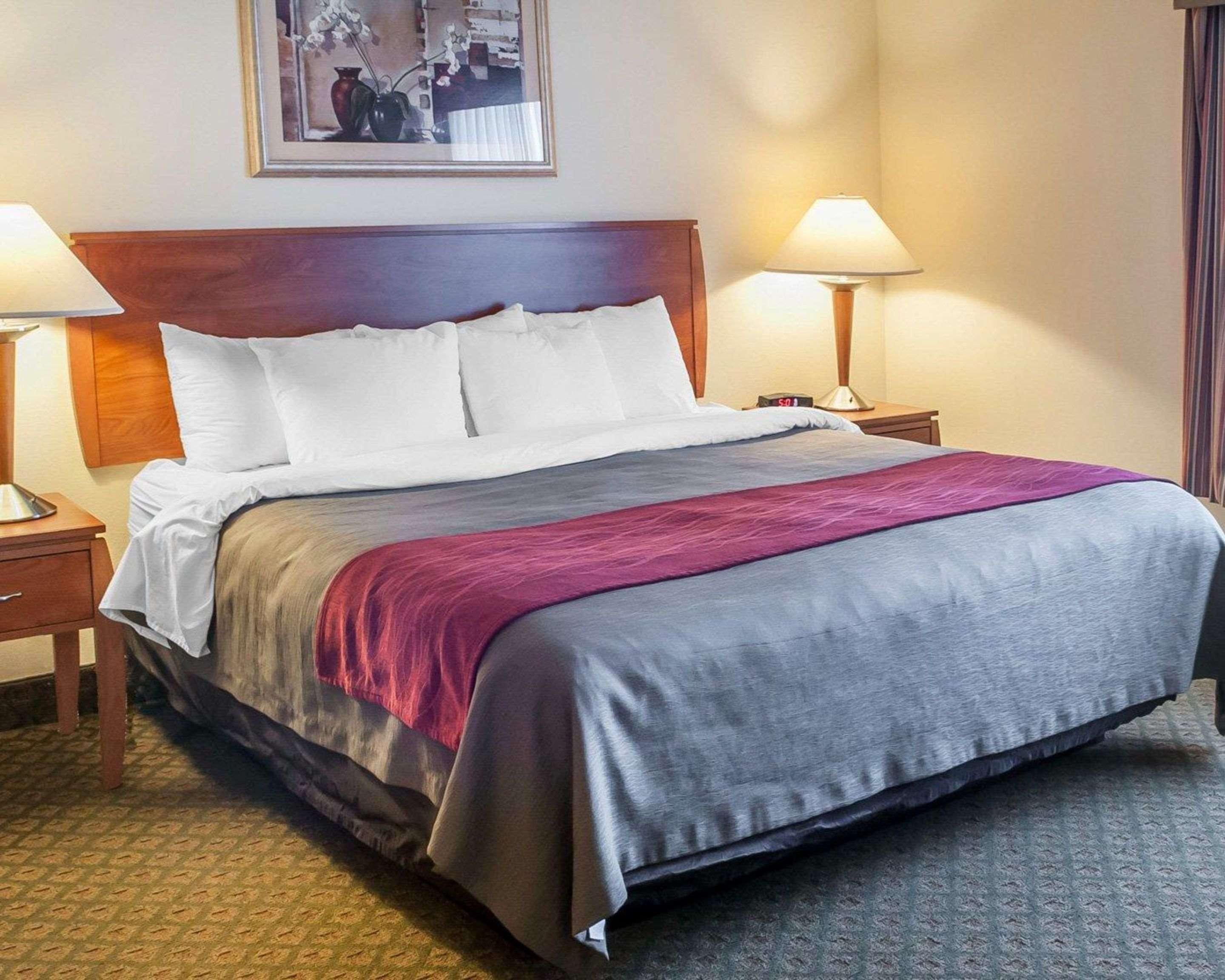 Comfort & Hotel