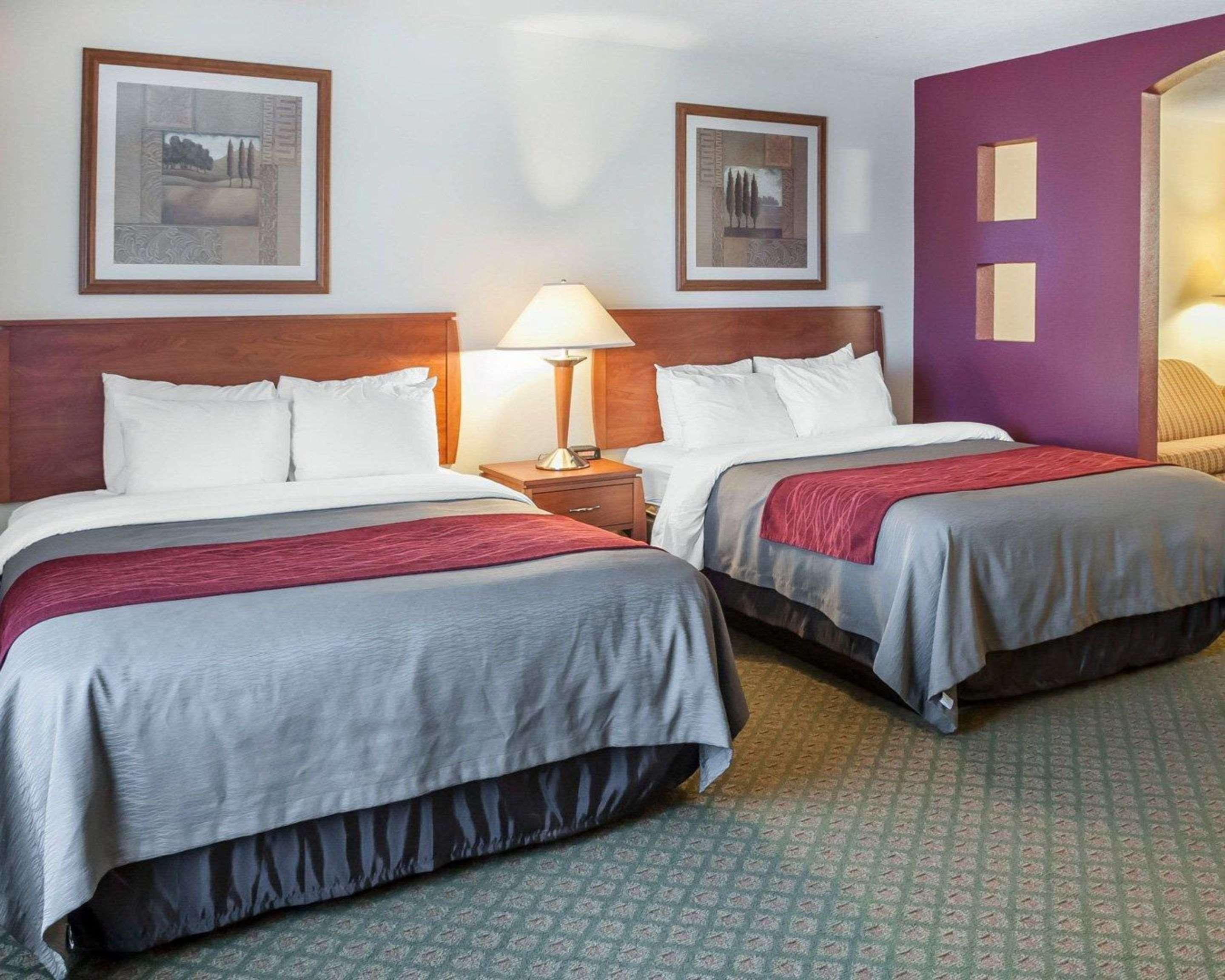 Comfort & Hotel Socorro